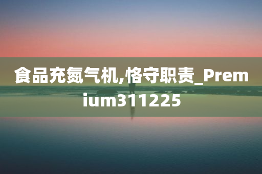 食品充氮气机,恪守职责_Premium311225