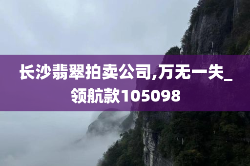 长沙翡翠拍卖公司,万无一失_领航款105098