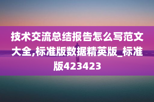 技术交流总结报告怎么写范文大全,标准版数据精英版_标准版423423