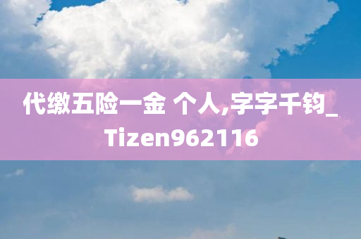 代缴五险一金 个人,字字千钧_Tizen962116