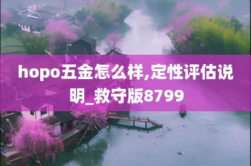 hopo五金怎么样,定性评估说明_救守版8799