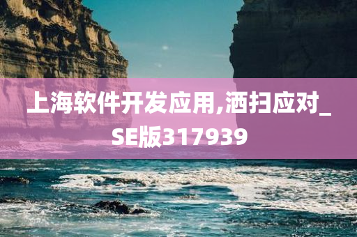 上海软件开发应用,洒扫应对_SE版317939