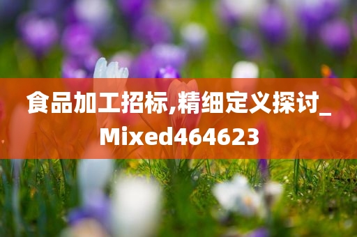 食品加工招标,精细定义探讨_Mixed464623