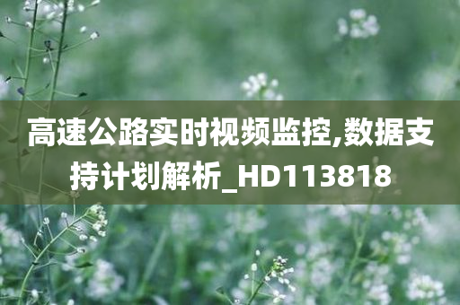 高速公路实时视频监控,数据支持计划解析_HD113818