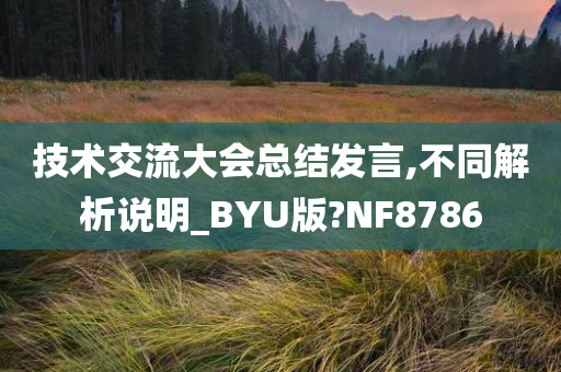 技术交流大会总结发言,不同解析说明_BYU版?NF8786