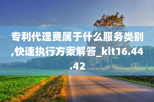 专利代理费属于什么服务类别,快速执行方案解答_kit16.44.42