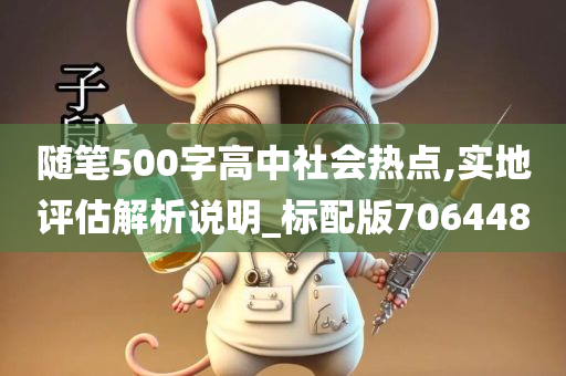 随笔500字高中社会热点,实地评估解析说明_标配版706448