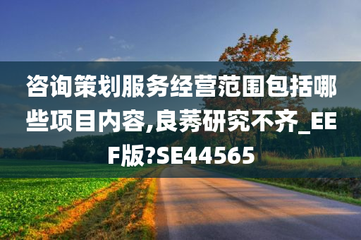 咨询策划服务经营范围包括哪些项目内容,良莠研究不齐_EEF版?SE44565