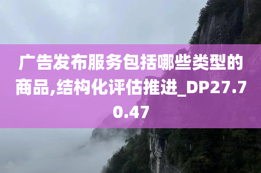 广告发布服务包括哪些类型的商品,结构化评估推进_DP27.70.47