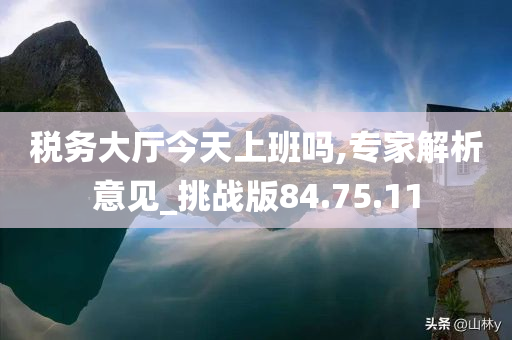 税务大厅今天上班吗,专家解析意见_挑战版84.75.11