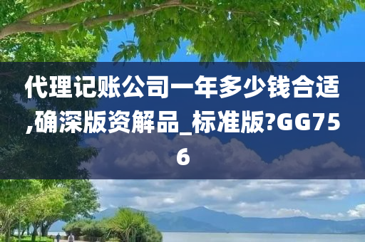 代理记账公司一年多少钱合适,确深版资解品_标准版?GG756