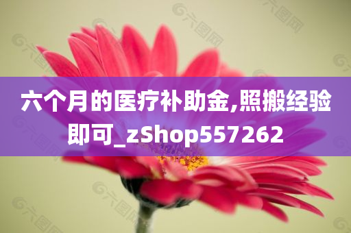 六个月的医疗补助金,照搬经验即可_zShop557262