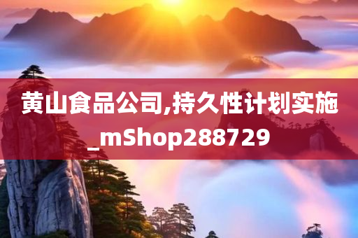 黄山食品公司,持久性计划实施_mShop288729