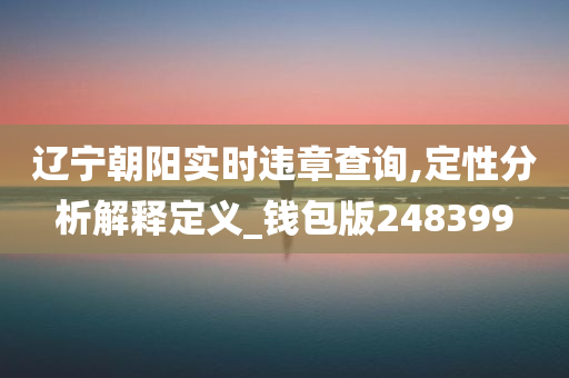 辽宁朝阳实时违章查询,定性分析解释定义_钱包版248399