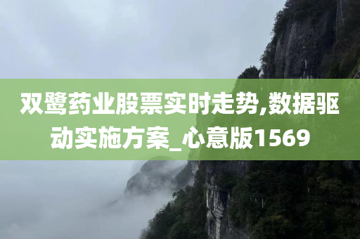 双鹭药业股票实时走势,数据驱动实施方案_心意版1569