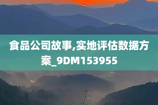 食品公司故事,实地评估数据方案_9DM153955