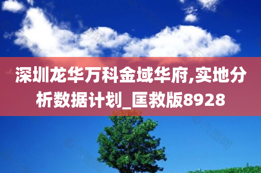 深圳龙华万科金域华府,实地分析数据计划_匡救版8928