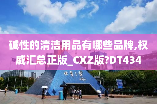 碱性的清洁用品有哪些品牌,权威汇总正版_CXZ版?DT434