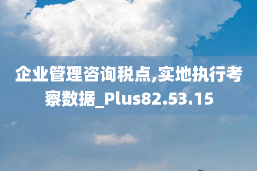 企业管理咨询税点,实地执行考察数据_Plus82.53.15