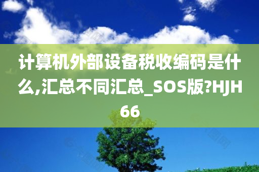 计算机外部设备税收编码是什么,汇总不同汇总_SOS版?HJH66