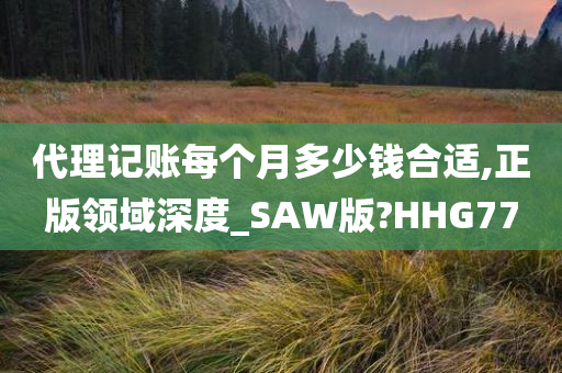 代理记账每个月多少钱合适,正版领域深度_SAW版?HHG77