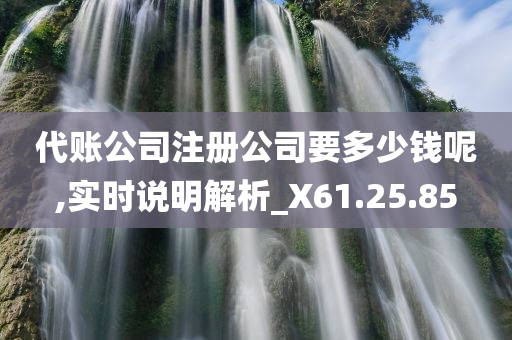 代账公司注册公司要多少钱呢,实时说明解析_X61.25.85