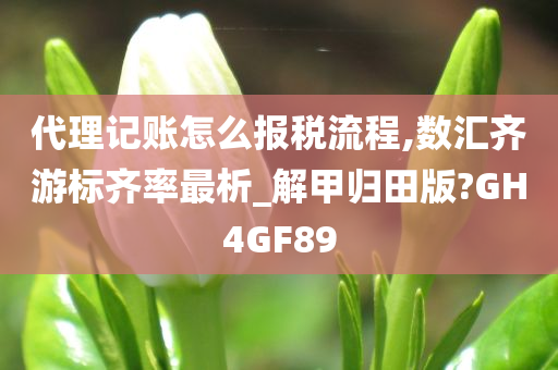 代理记账怎么报税流程,数汇齐游标齐率最析_解甲归田版?GH4GF89