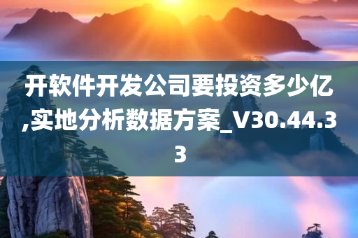 开软件开发公司要投资多少亿,实地分析数据方案_V30.44.33