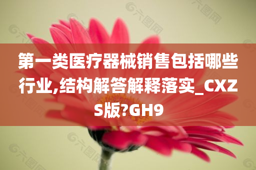 第一类医疗器械销售包括哪些行业,结构解答解释落实_CXZS版?GH9