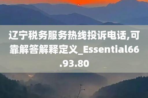 辽宁税务服务热线投诉电话,可靠解答解释定义_Essential66.93.80