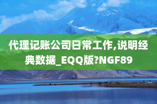 代理记账公司日常工作,说明经典数据_EQQ版?NGF89