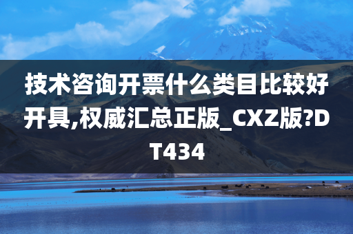 技术咨询开票什么类目比较好开具,权威汇总正版_CXZ版?DT434