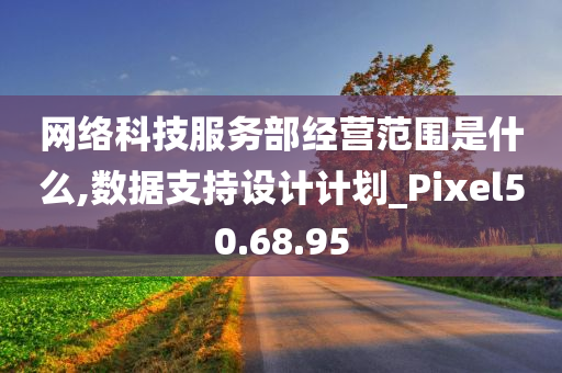 网络科技服务部经营范围是什么,数据支持设计计划_Pixel50.68.95