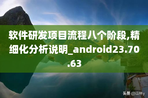 软件研发项目流程八个阶段,精细化分析说明_android23.70.63