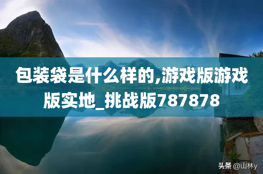 包装袋是什么样的,游戏版游戏版实地_挑战版787878