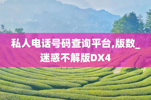 私人电话号码查询平台,版数_迷惑不解版DX4