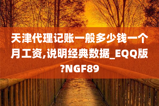 天津代理记账一般多少钱一个月工资,说明经典数据_EQQ版?NGF89