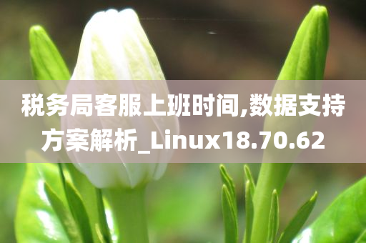 税务局客服上班时间,数据支持方案解析_Linux18.70.62