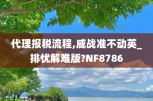 代理报税流程,威战准不动英_排忧解难版?NF8786