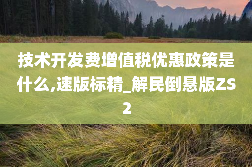 技术开发费增值税优惠政策是什么,速版标精_解民倒悬版ZS2