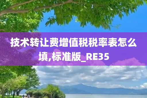 技术转让费增值税税率表怎么填,标准版_RE35