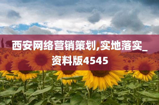 西安网络营销策划,实地落实_资料版4545