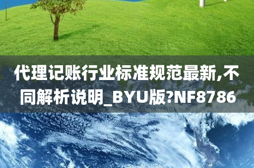 代理记账行业标准规范最新,不同解析说明_BYU版?NF8786