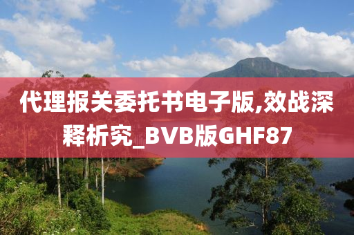 代理报关委托书电子版,效战深释析究_BVB版GHF87