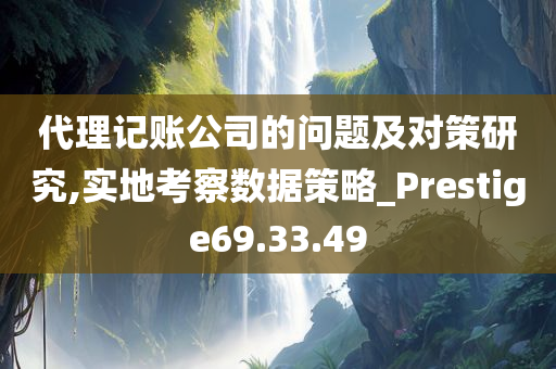 代理记账公司的问题及对策研究,实地考察数据策略_Prestige69.33.49