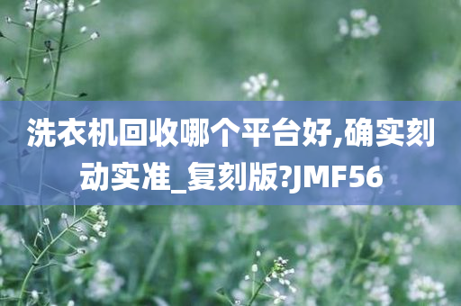 洗衣机回收哪个平台好,确实刻动实准_复刻版?JMF56