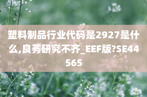 塑料制品行业代码是2927是什么,良莠研究不齐_EEF版?SE44565