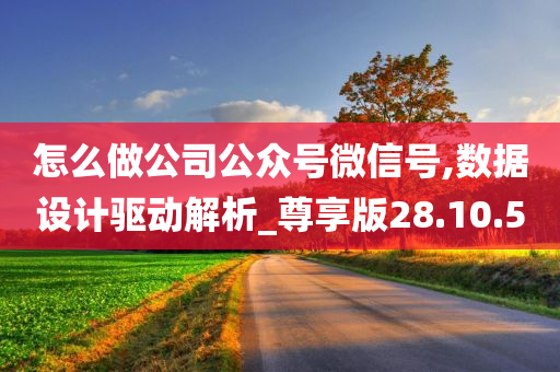 怎么做公司公众号微信号,数据设计驱动解析_尊享版28.10.50