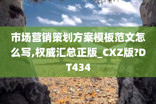 市场营销策划方案模板范文怎么写,权威汇总正版_CXZ版?DT434