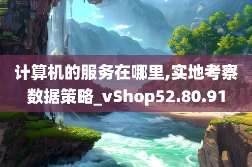 计算机的服务在哪里,实地考察数据策略_vShop52.80.91